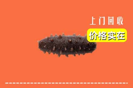 昭通水富市回收海参