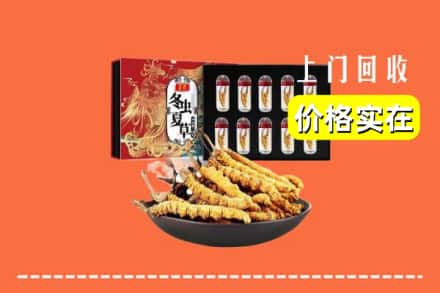 昭通水富市回收虫草